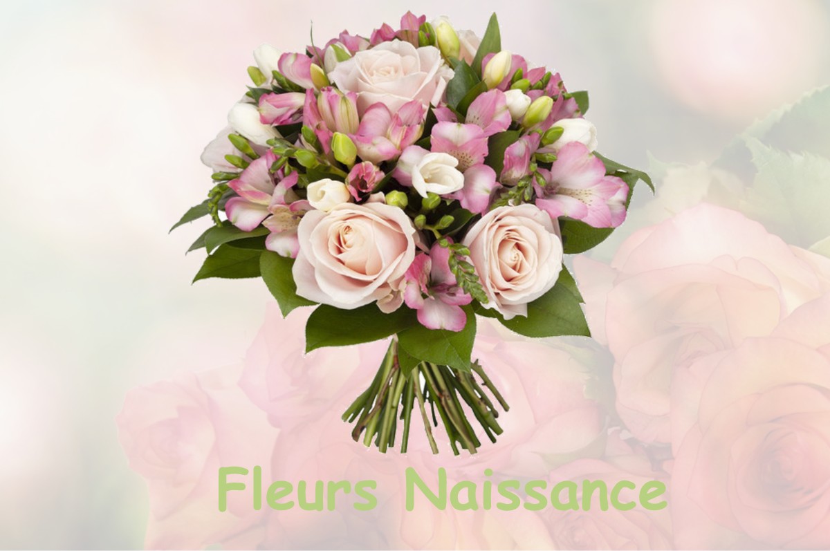 fleurs naissance NUITS-SAINT-GEORGES